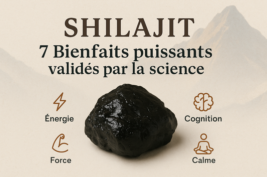 ⚡ Les 7 bienfaits scientifiquement reconnus du Shilajit