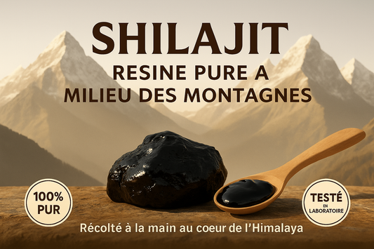 🧠 Qu’est-ce que le Shilajit ? Origines, composition et bienfaits