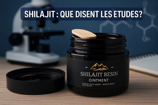 Les recherches scientifiques modernes sur le Shilajit : que disent les études ?