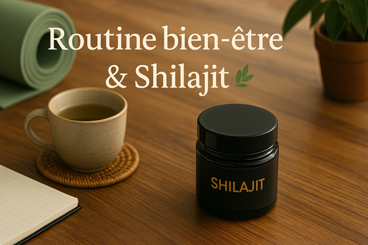 Routine bien-être : comment intégrer le Shilajit dans son quotidien