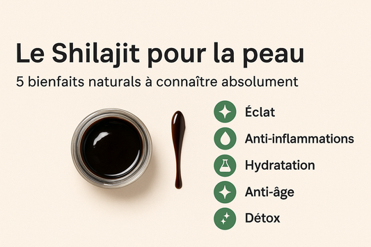 🌿 Le Shilajit pour la peau : 5 bienfaits naturels à connaître absolument