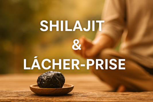 🌄 Shilajit et lâcher-prise : la force tranquille venue de la montagne