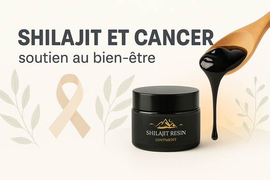 🌿 Shilajit et cancer : un allié bien-être pendant les traitements ?
