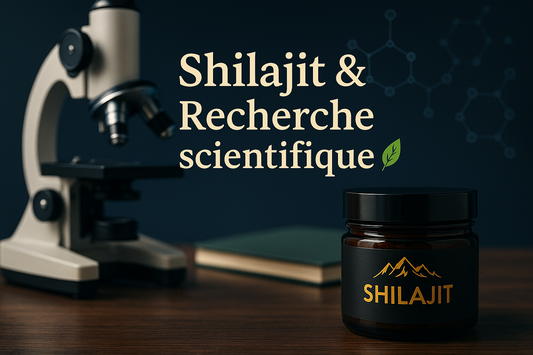 Shilajit et recherche scientifique : quel rôle potentiel dans la lutte contre certaines maladies ? 🌿