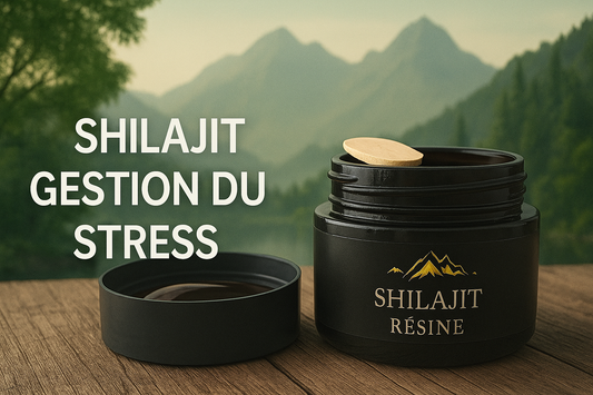 Shilajit et gestion du stress : un allié adaptogène naturel 🌿