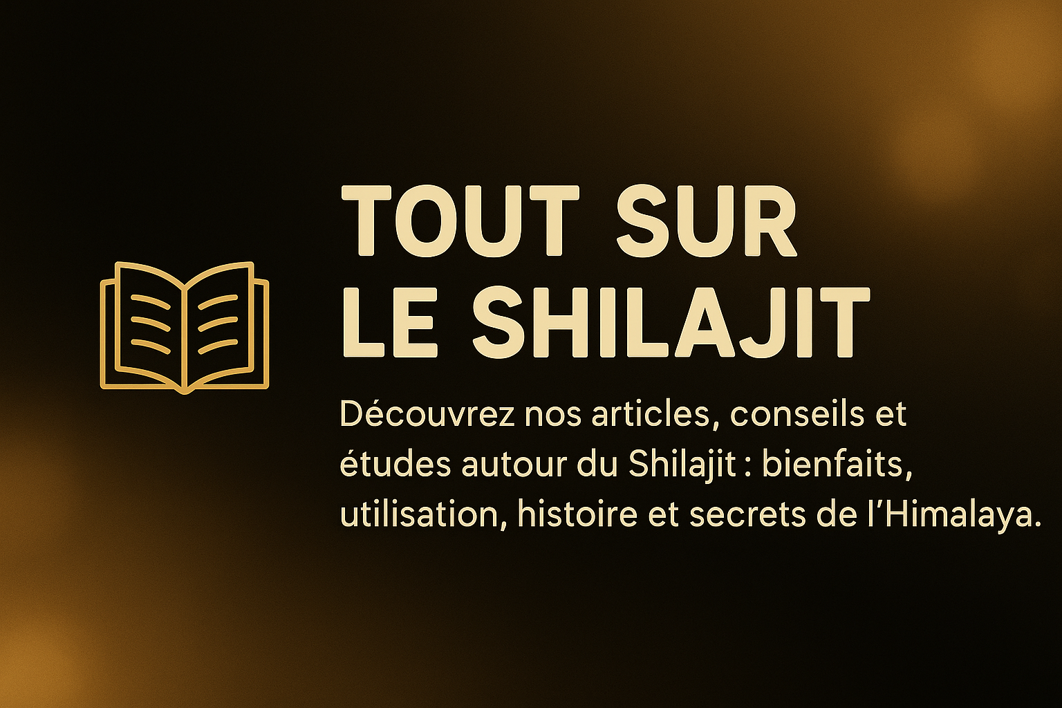 tout-sur-le-shilajit-blog-banniere