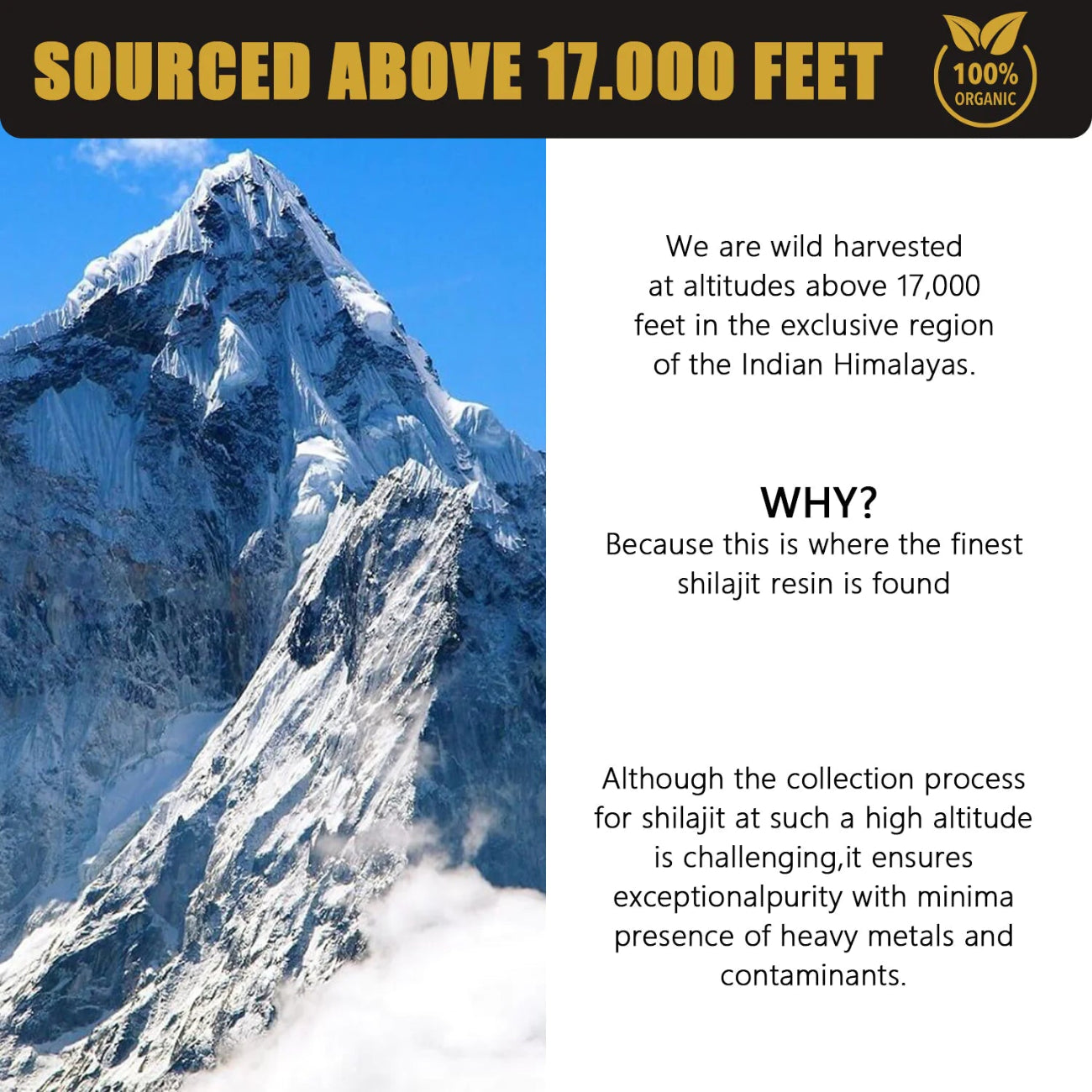 SHILAJIT : Résine pure d'Himalaya